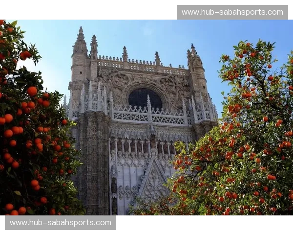 新闻塞维利亚——用一条新闻，遇见真实的塞维利亚